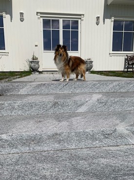 Evjen granitt, uteområder